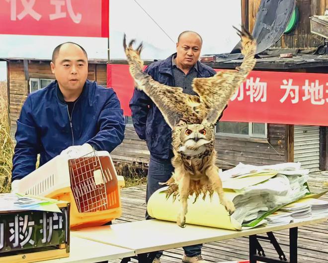 市“保护野生动物宣传月”启动九游会真人游戏第一品牌唐山(图2)